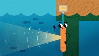 Underwater Flashlights: What Light Can Tell Us About Water Quality